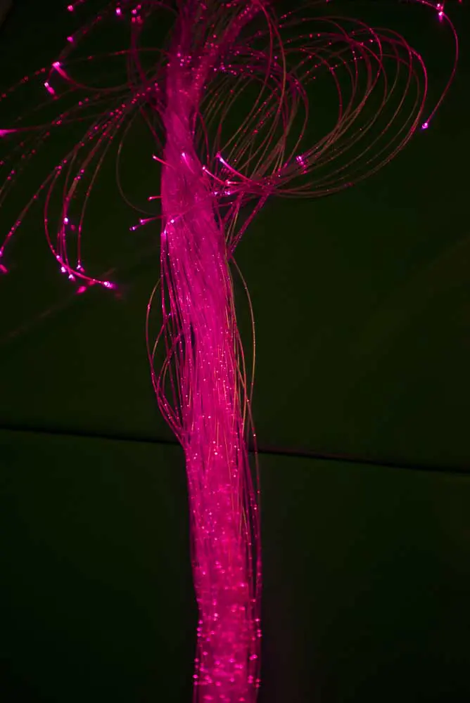 sensory image
