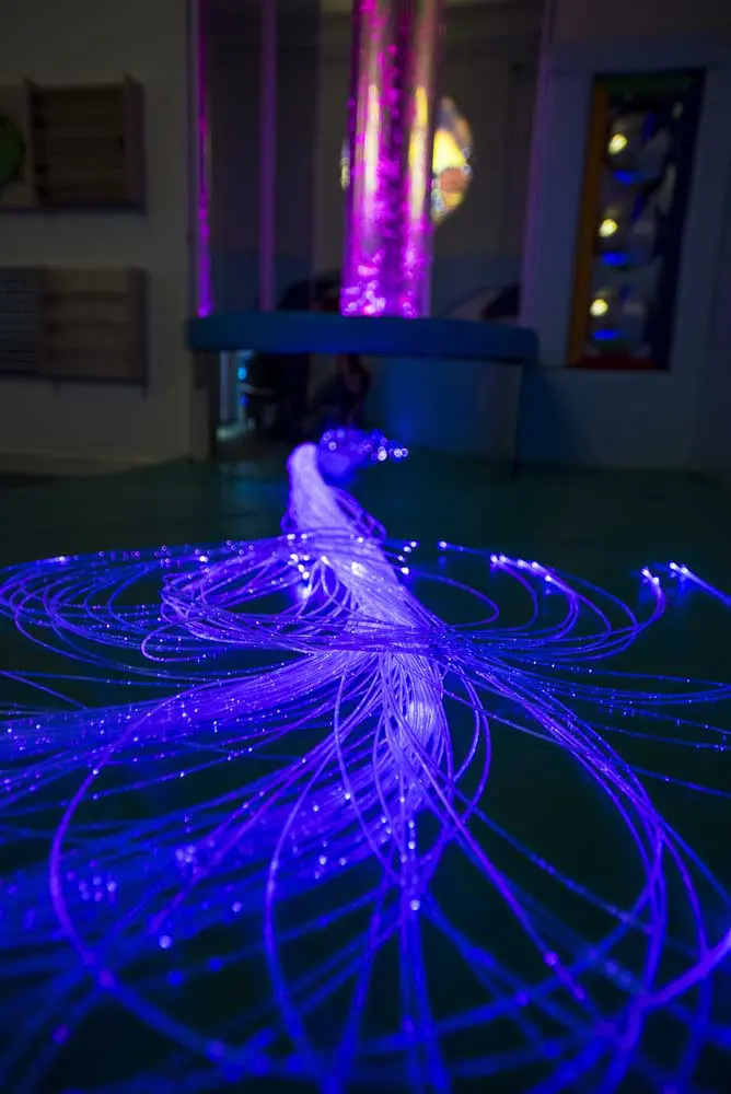 sensory image
